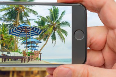 Okyanusta palmiye ağaçları ve çadırlar. Fotoğraf akıllı telefon. Akıllı telefon. 