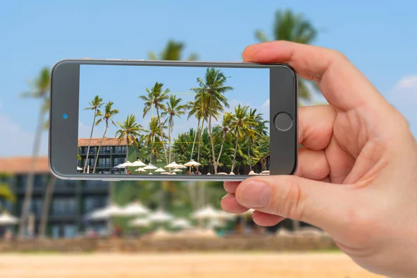 Palmy i namioty nad oceanem. Zdjęcie smartfona. Smartfon — Zdjęcie stockowe