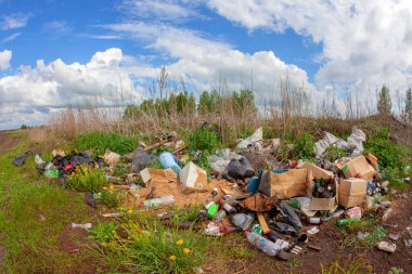 Rusya, 14 Mayıs 2010. Tarlada doğaya çöp atılıyor..