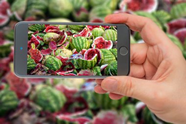 Olgun, çürümüş, kırılmış karpuzlar. Olgunlaşmış kırmızı sumalo posası