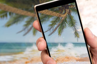 Okyanus sahili ve telefon ekranında palmiye ağaçları. Tropiklerde güneşli bir gün.