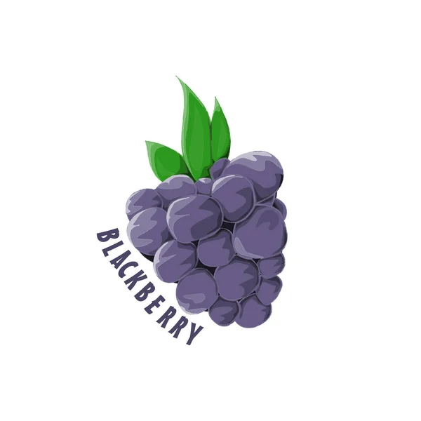 Logotipo ícone design fazenda Blackberry — Vetor de Stock