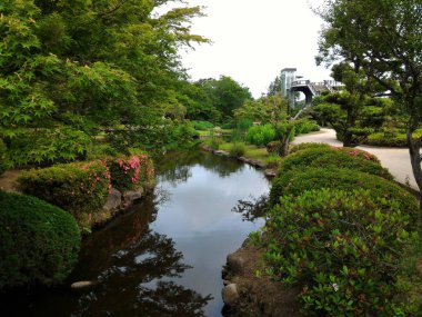 Jogging spor egzersiz Park yolu yan göl