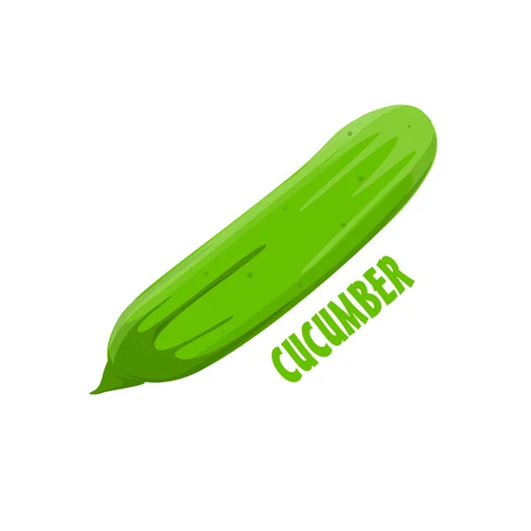 Logo salatalık vektör çiftlik tasarımı — Stok Vektör