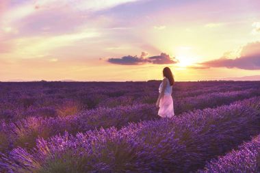 Kadınlar lavanta alanına yürüyor. Provence, beyaz elbiseli yalak lavanta alanları günbatımında yürüme France.A kız tatil sahip lavanta alanlarda, romantik kadın. Kız gün batımını lavanta alanları hayran.