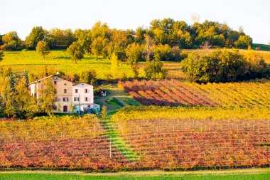 Castelvetro, Modena, Emilia Romagna, İtalya. Sonbaharda Lambrusco Grasparossa üzüm bağları ve tepeler üzerinde günbatımı