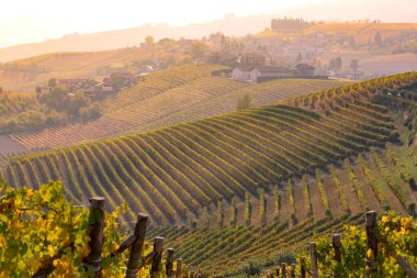 Langhe bölgesi, Piedmont, İtalya. Sonbahar manzarası