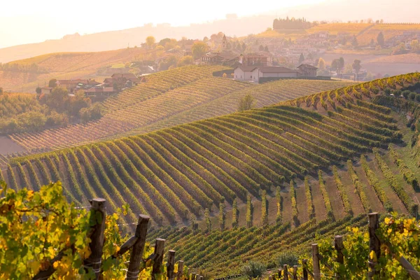 Region Langhe, Piemont, Włochy. Jesienny krajobraz — Zdjęcie stockowe