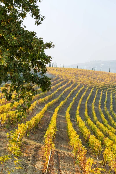 Region Langhe, Piemont, Włochy. Jesienny krajobraz — Zdjęcie stockowe