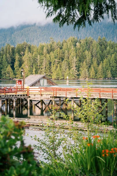 Tofino havn på Vancouver Island. Britisk Columbia, Canada – stockfoto