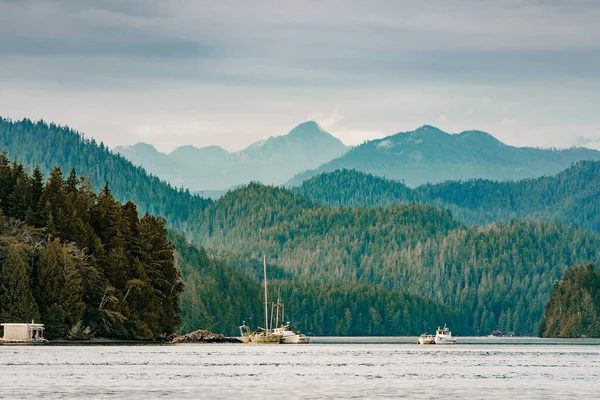 Tofino havn på Vancouver Island. Britisk Columbia, Canada – stockfoto