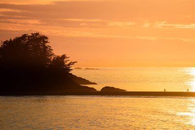 Tofino Limanı, Vancouver Adası. British Columbia, Kanada. Gün batımında Long Beach