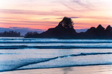 Tofino Limanı, Vancouver Adası. British Columbia, Kanada. Gün batımında Cox Körfezi Sahili
