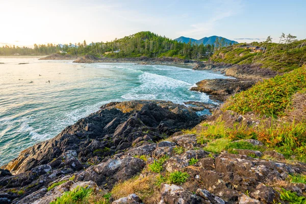 ทีฟิโน่ ฮาร์เบอร์ เกาะแวนคูเวอร์ บริติชโคลัมเบีย แคนาดา หาดลองบีชตอนพระอาทิตย์ตก — ภาพถ่ายสต็อก