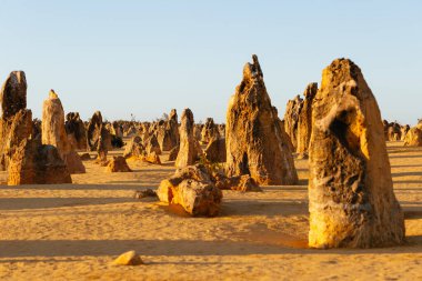 Günbatımında Zirve Çölü, Nambung Ulusal Parkı 'nda kireçtaşı oluşumları, Cervantes, Batı Avustralya