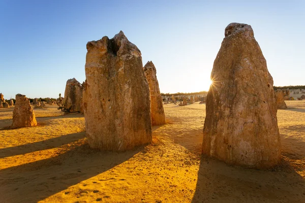 ทะเลทรายพินนาเคิลตอนพระอาทิตย์ตก รูปปั้นหินปูนที่อุทยานแห่งชาติโนวา เซอร์เตส ออสเตรเลียตะวันตก — ภาพถ่ายสต็อก
