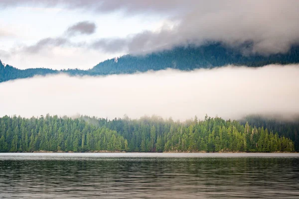 Clayoquot Sound villmarkslandskap, Tofino, Britisk Columbia, Canada – stockfoto