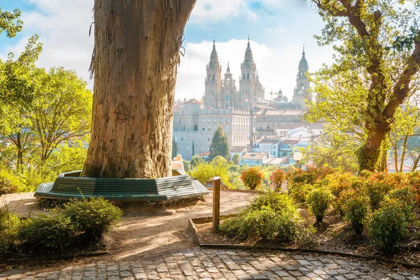 Santiago de Compostela Cathedral ved soloppgang, Galicia, Spania – stockfoto