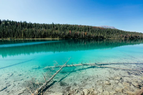 Lago Turquesa, Valle de los Cinco Lagos, Parque Nacional Jasper, Montañas traseras, Alberta, Canadá — Foto de Stock