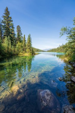 Turquoise Lake, Valley of the Five Lakes, Jasper National Park, back mountains, Alberta, Canada clipart