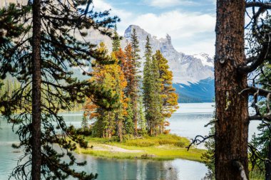 Canada, Alberta, Jasper National Park, Maligne Lake and Spirit Island clipart