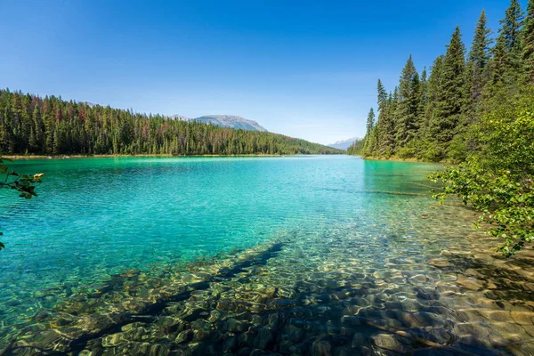 Turkoosi järvi, Viiden järven laakso, Jasperin kansallispuisto, takavuoret, Alberta, Kanada — kuvapankkivalokuva