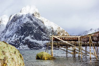 Reine, Lofoten Adaları, Norveç 'te asılı kurutulmuş balık. Kış manzarası