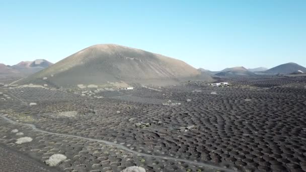 Vinhas La Geria em paisagem vulcânica, Lanzarote, Ilhas Canárias. vista aérea — Vídeo de Stock