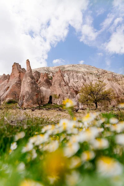 在土耳其卡帕多西亚的春天。仙女Chimney岩石与花朵的形成 — 图库照片