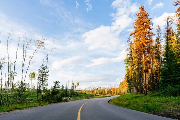 Eenzame weg in Jasper National Park bij zonsondergang, Canada — Stockfoto