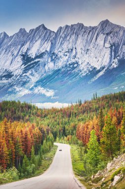 Road in Jasper, Canadian Rockies, Canada clipart