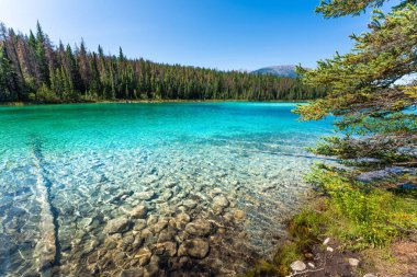 5 Göller Vadisi 'ndeki ikinci göl, Jasper, Kanada Rocky Dağları, Kanada.
