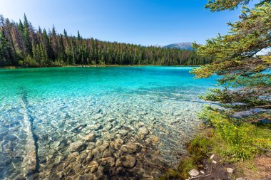 Second lake at Valley of Five Lakes, Jasper, Canadian Rockies, Canada. clipart
