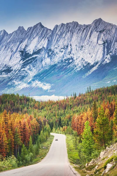 Δρόμος Στο Jasper Canadian Rockies Καναδάς Φωτογραφία Αρχείου