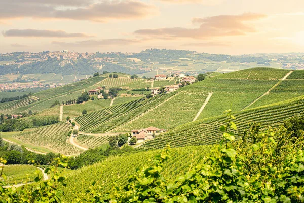 バローロワイン地域 ランゲ ピエモンテ州 イタリア ブドウ畑と牧歌的な風景 — ストック写真