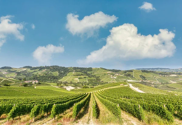 Barolo Şarap Bölgesi Langhe Piedmont Talya Üzüm Bağları Cennet Manzarası — Stok fotoğraf