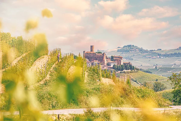 バローロワイン地域 ランゲ ピエモンテ州 イタリア ブドウ畑と牧歌的な風景 — ストック写真