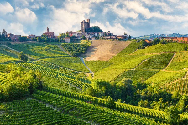 Barolo şarap bölgesi, Langhe, Piedmont, İtalya. Üzüm bağları ve cennet manzarası