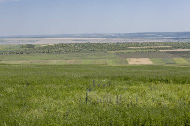 Bozkır Hills yaz alan