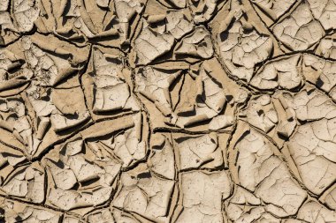 Bir cansız arazi kuraklık