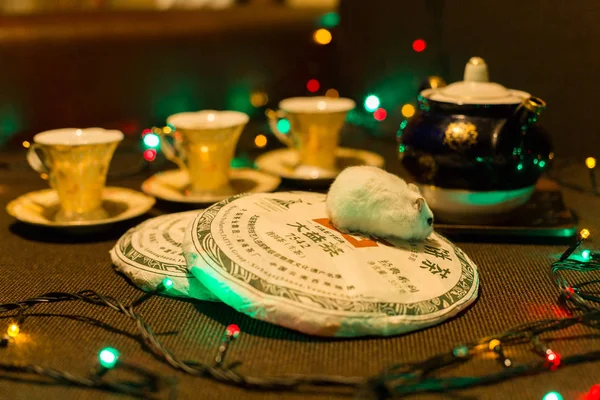 Chinese tea Puer ceremony — Stock Photo, Image