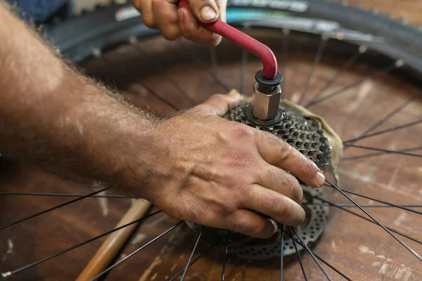 Cassette bicycle maintenance