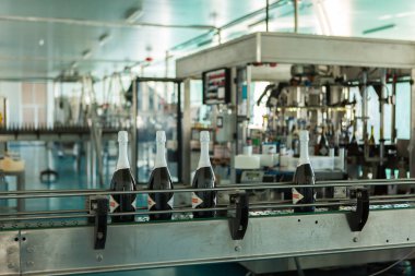 Şarap Fabrikası üretim. Güney kalite şarap