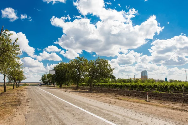 Beautiful vineyards Clouds — Stock Photo, Image