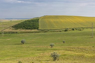 Bozkır Hills yaz alan
