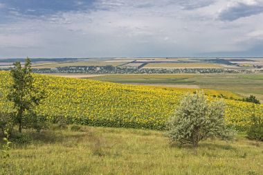 Bozkır Hills yaz alan