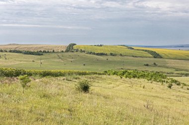 Bozkır Hills yaz alan
