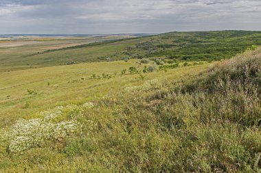 Bozkır Hills yaz alan