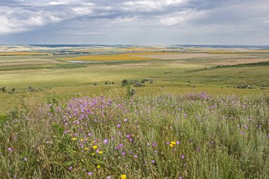 Bozkır Hills yaz alan