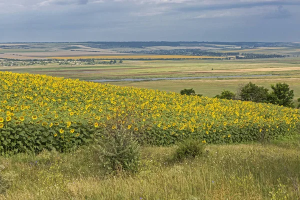 Bozkır Hills yaz alan